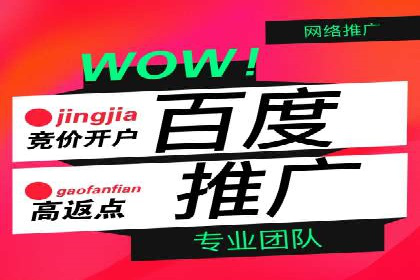 实战经验：竞价推广公司成功案例剖析