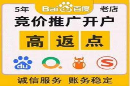 关键词竞价排名实战案例精选解析